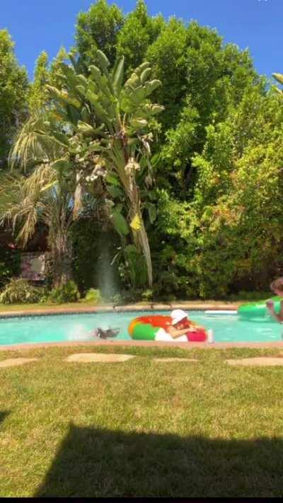 Plaid Instagram Video (July 2023)