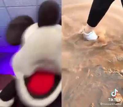 My ears absolutely loved this, thank you