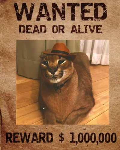 Flopper wanted? But why on fridayyy?