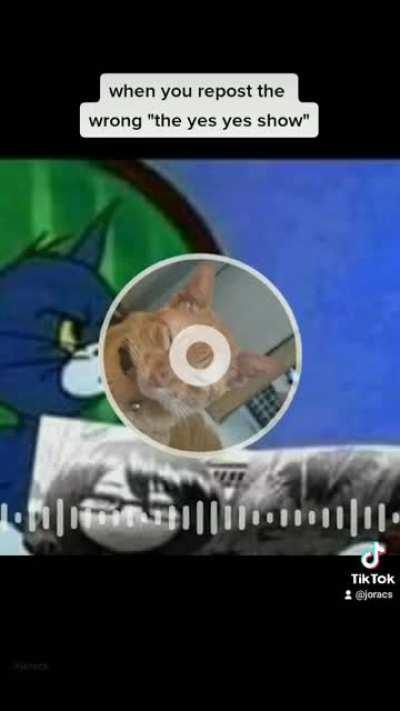 So yeah i made a remix (go to my tiktok, i make remix there) btw, my cat's name is ginger