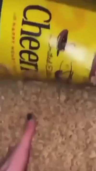 Blursed serial kidnapping