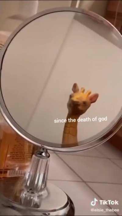 don't you want to become a cult leader?