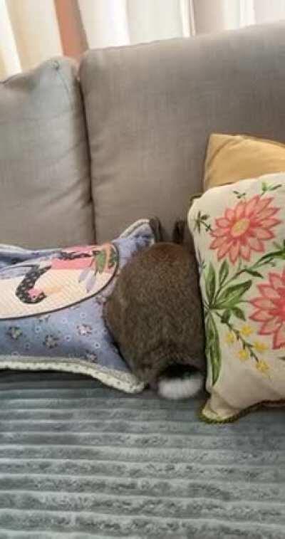 She likes to get comfy behind pillows