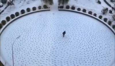 Bored man walking in circles... in the snow
