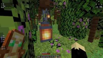 1.17 Pathway/tunnel thing