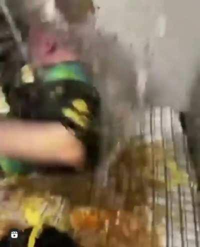 I think this belongs here. Via @drunkpeopledoingthings