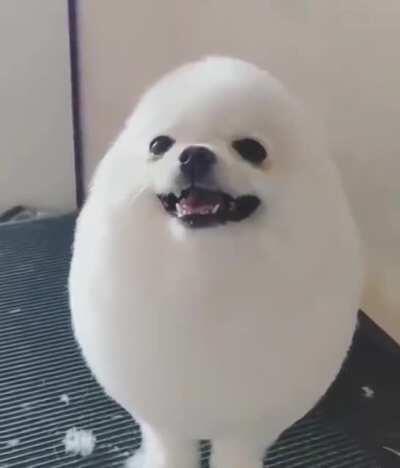 Supercell Make opens campaign ... Community: