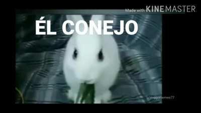 Él Conejo