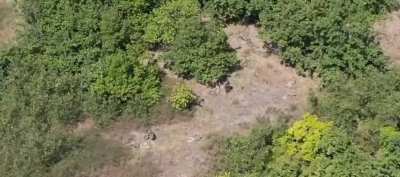 RU POV: Russian forces inspect 16 killed UA personnel in kremyanoye Kursk, Russia