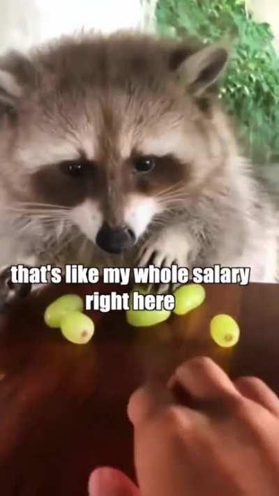 Credit :- KLR Production