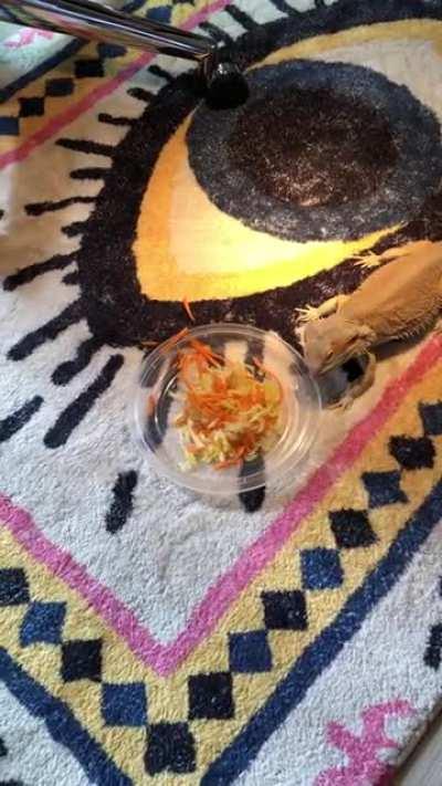 Luna got a bit too excited for her squash and carrots this morning