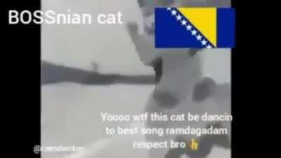 WTF 😳 BOSNIA WIN AGAin????