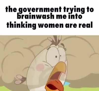 dumb gov trying to trick me