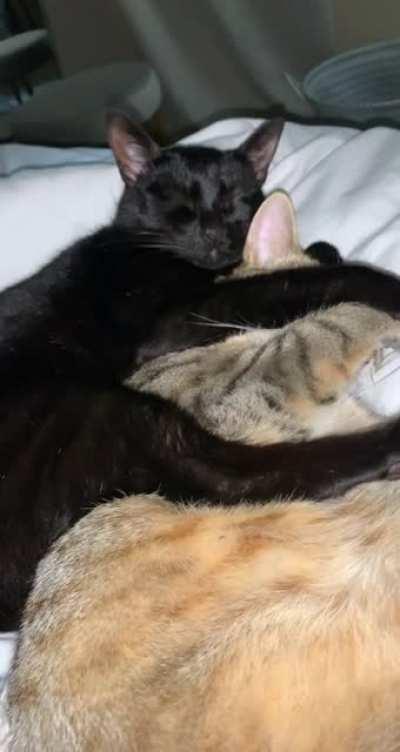 These two melt my heart