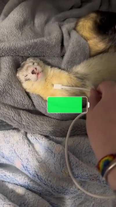 I think we charged Irwin up too much 😂