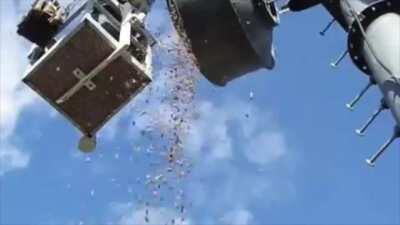 Just a few more than I would have thought