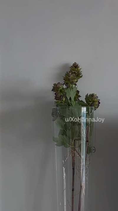 Did you expect this?😜