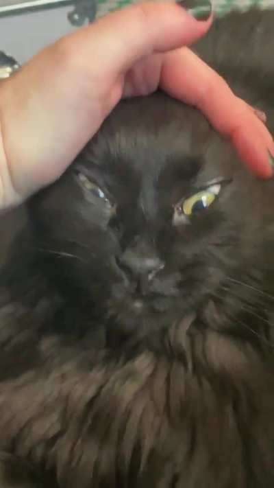 Stremtch tax for begging for dinner