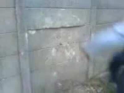 What did you expect.