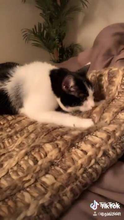 Following the recipe step by step