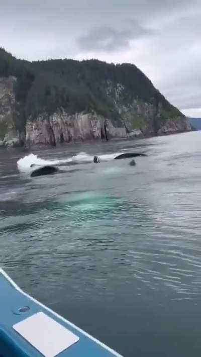 What would you do if you were in this situation 😳