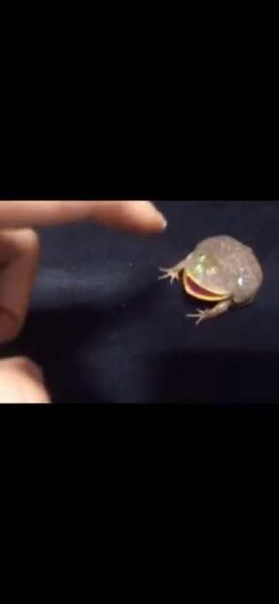 Don’t mess with big man jimmy