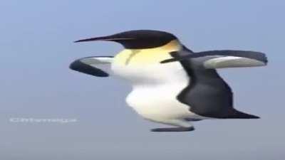 buenos días desde latam