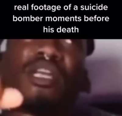 Wordington dreamybull