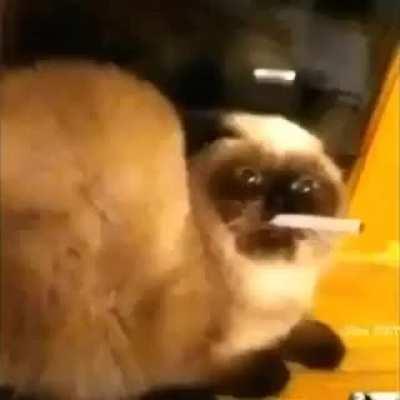 53 seconds of Russia