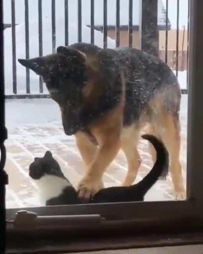 I love you too, but you need to calm down