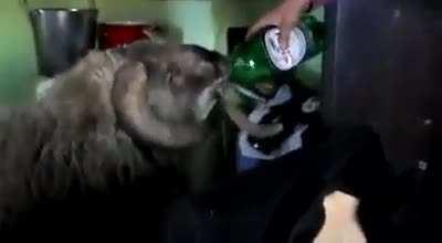 Most sane people in Romenia 🇷🇴🇷🇴🇷🇴🇷🇴🇷🇴🇷🇴🇷🇴🇷🇴🇷🇴🇷🇴🇷🇴