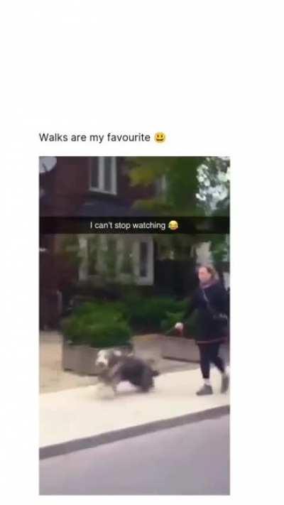 I can’t stop laughing