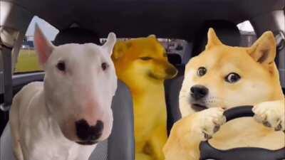 When the Beastars intro kicks into twelve gear