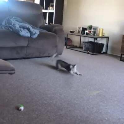 Trying to catch the string