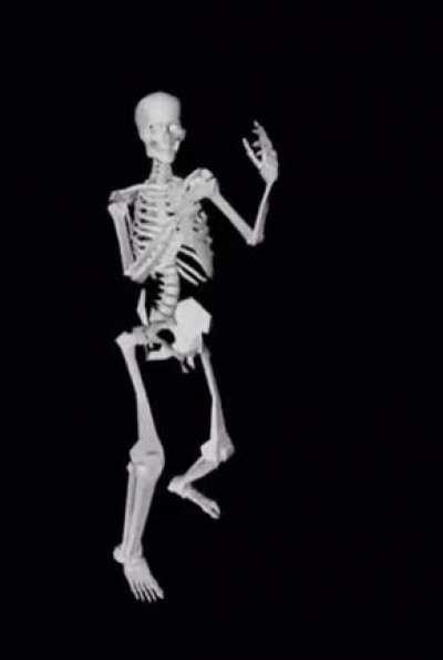 When you fight Skeletron with the Calamity Mod Extra Music pack