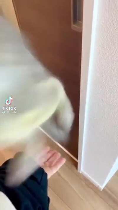 Милый какой