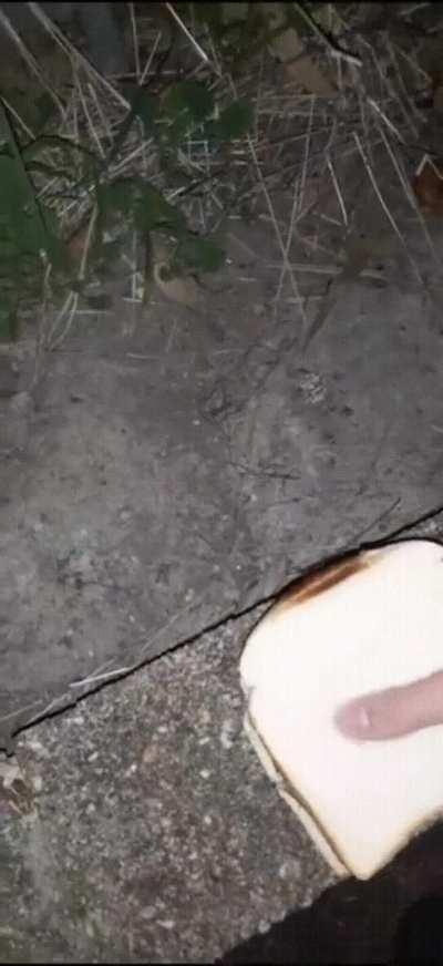 Only the Freshest Ingredients!