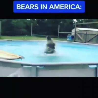 There's no competition