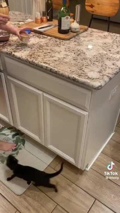 When you’re trying to taper down a kittens crack habit