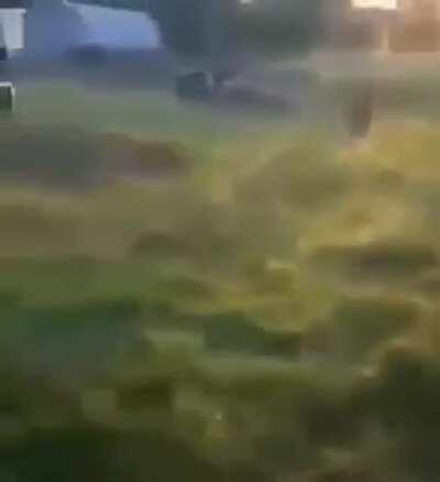 Que magia negra é essa