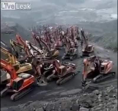 Herd of Excavatosaurus finally caught on camera