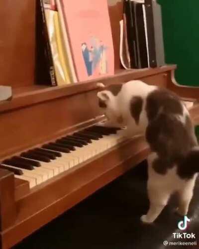 The best songwriter I've seen in a long time.