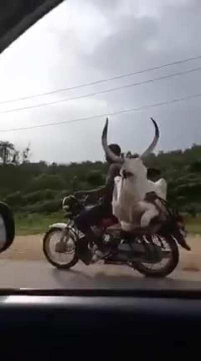 Is this belongs here?