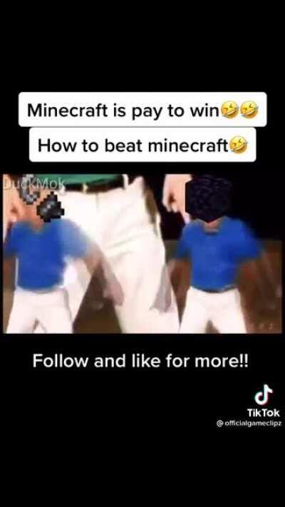 MINECRAFT IN A NUTSHELL