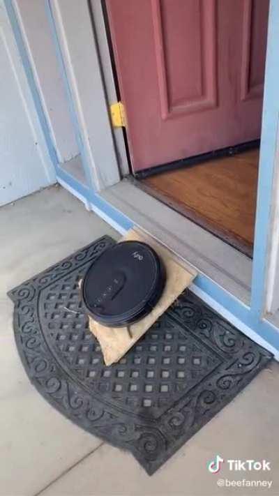 If you love something you should let it go