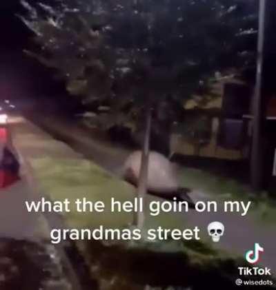 Not Earl Related But This Is To Cray For Me Not To Share It