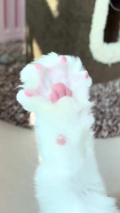 And someone is trying to flash me