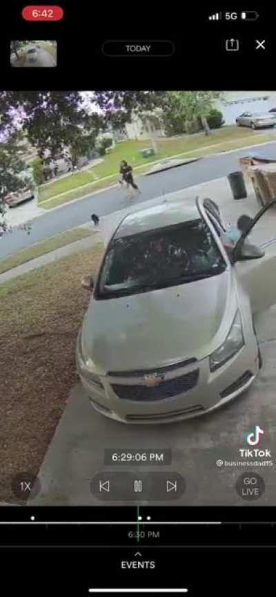 Guard cat strikes with fury and needs to be called off