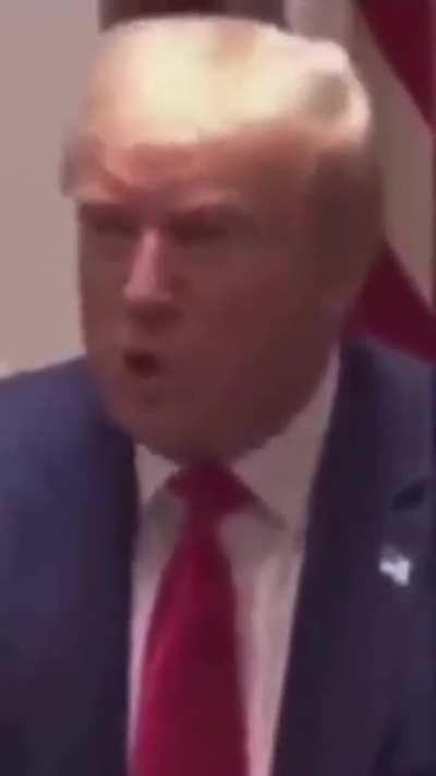 should have hit him harder