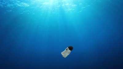 Le dogelore anime intro has arrived (context in comments)